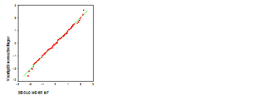 stlu leirtt leif, normalrit